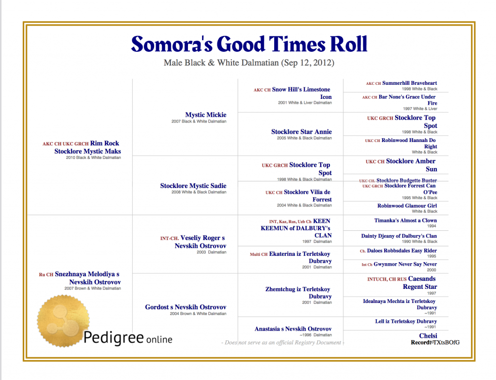 Ahnen Somora's Good Times Roll
